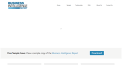 Desktop Screenshot of bizintellreport.com